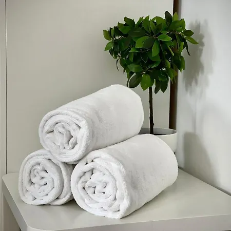 Anjomacar B * 테기세